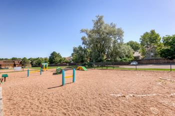 Fenced dog park with pet watering station